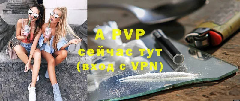 A PVP Соль  Новодвинск 